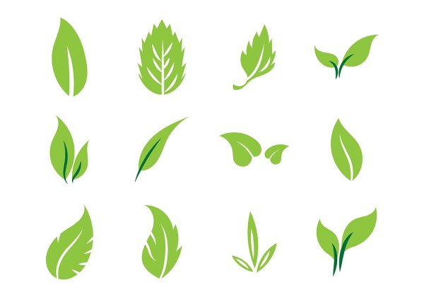 Векторные листочки