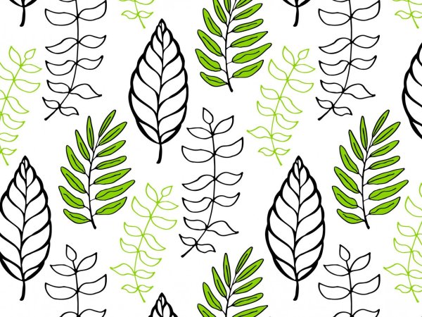 Листья растений вектор