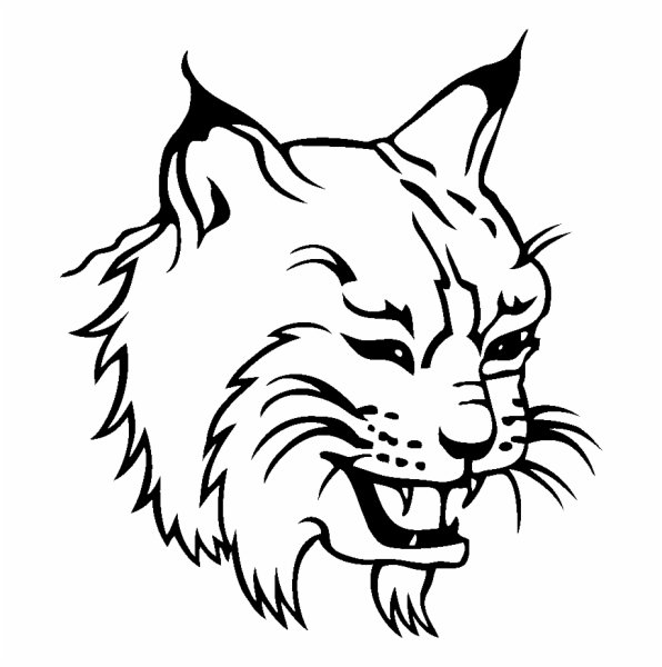 Рысь векторное изображение