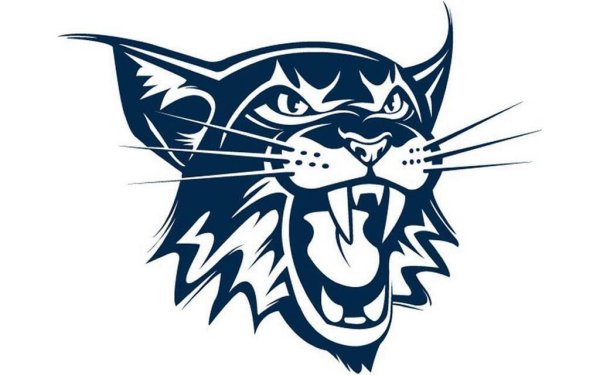 Логотипы с рысью