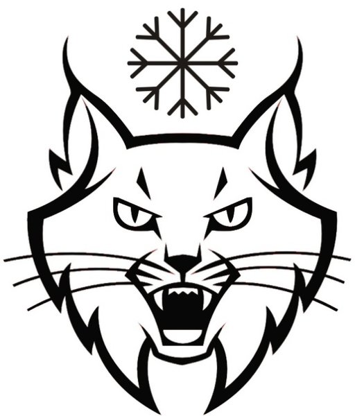 Рысь векторное изображение