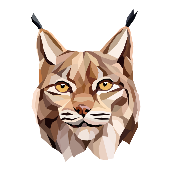 Рысь вектор