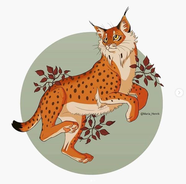 Рысь иллюстрация