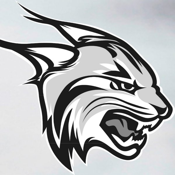 Наброски логотипов