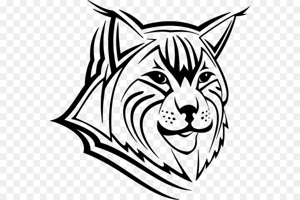 Графическое изображение рыси