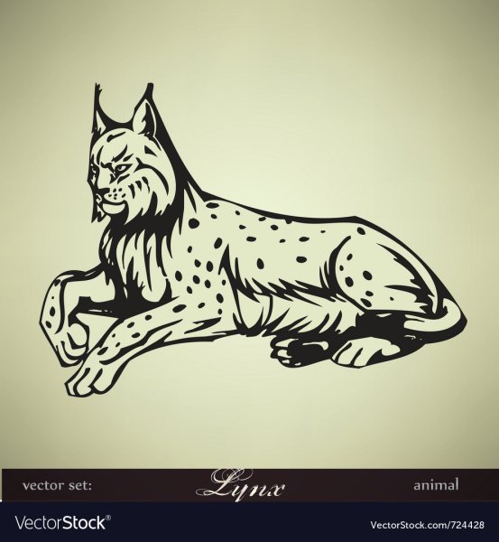 Рысь вектор