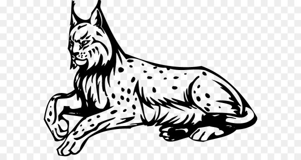 Рысь сидит силуэт