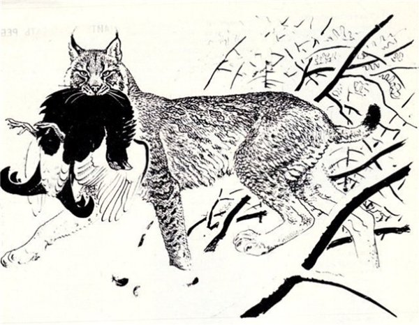 Горбатов художник анималист