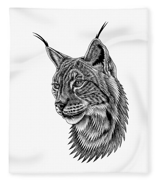 Рысь стилизация