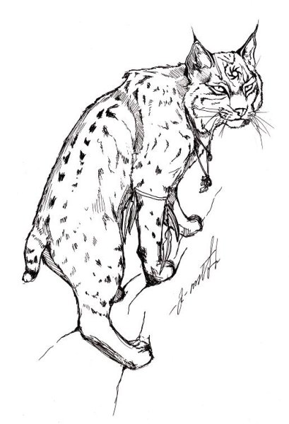 Рысь скетч