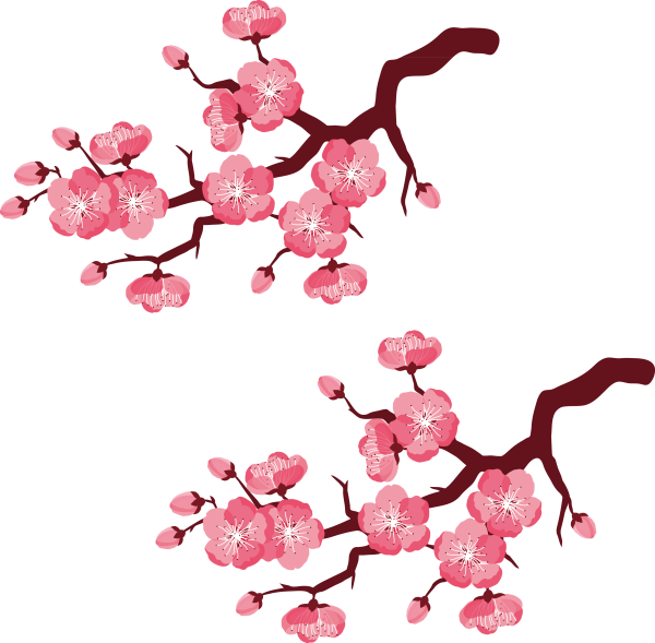 Ветка Сакуры
