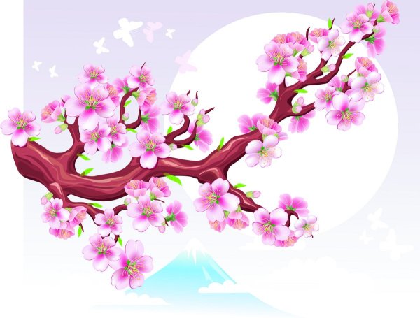 Сакура рисунок