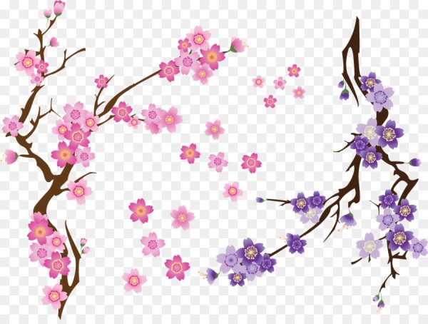 Ветка Сакуры рисунок