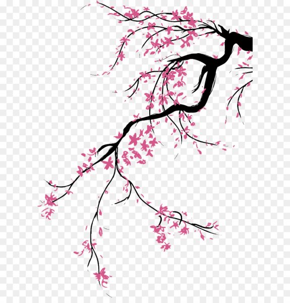 Сакура узор