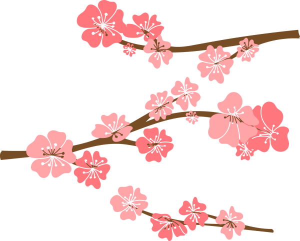 Ветка Сакуры Векторная