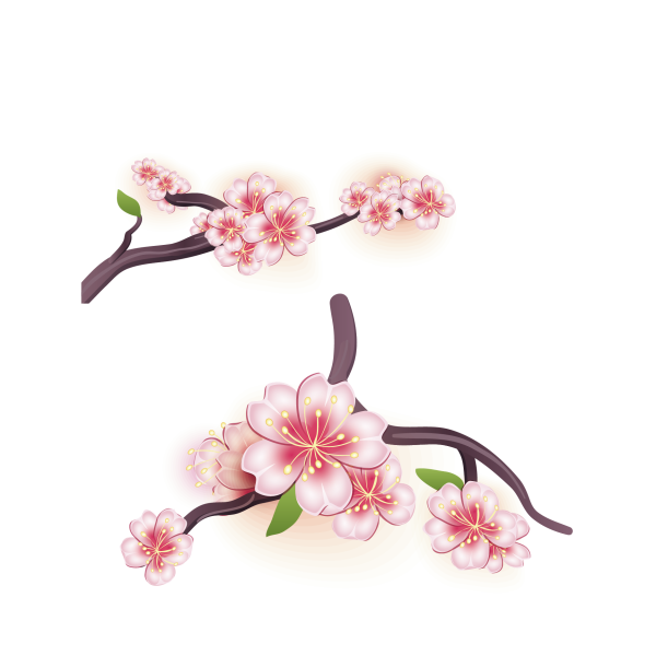 Ветка Сакуры вектор