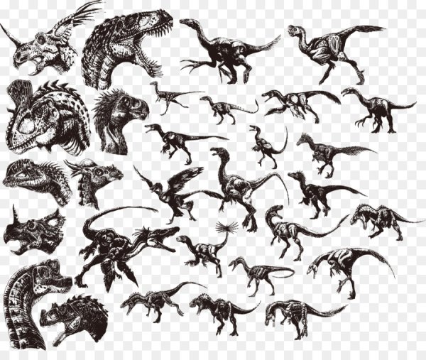 Наклейки динозавры чб