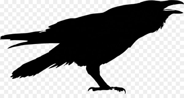 Силуэт вороны