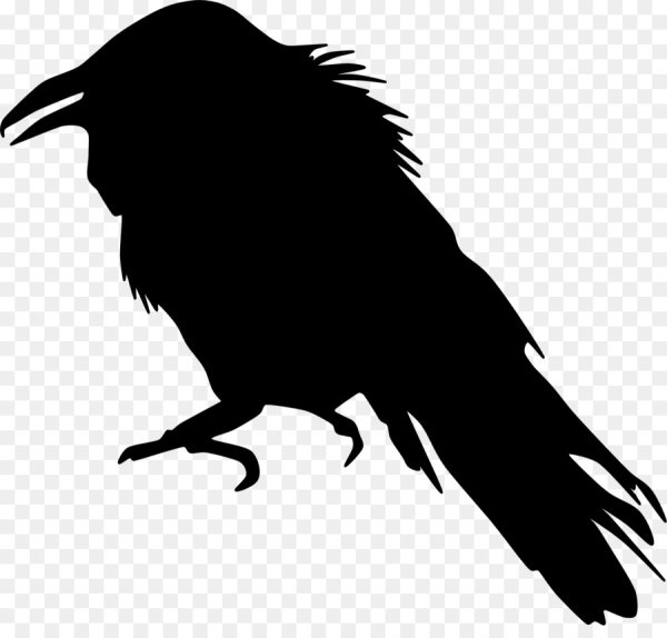 Ворон контур