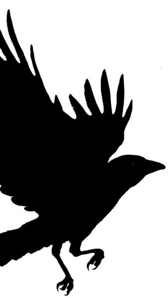Ворон силуэт