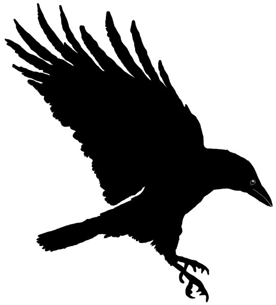 Очертания ворона