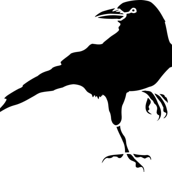 Nevermore ворон тату