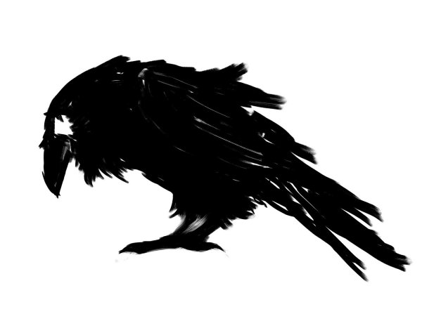 Ворон вектор