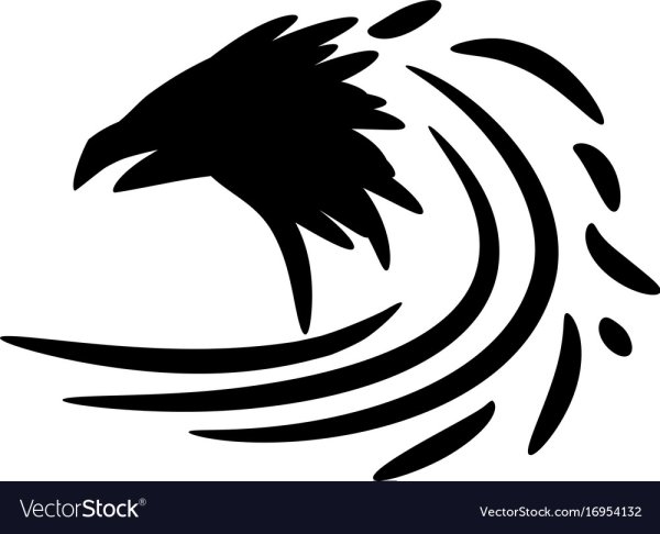 Ворон голова вектор