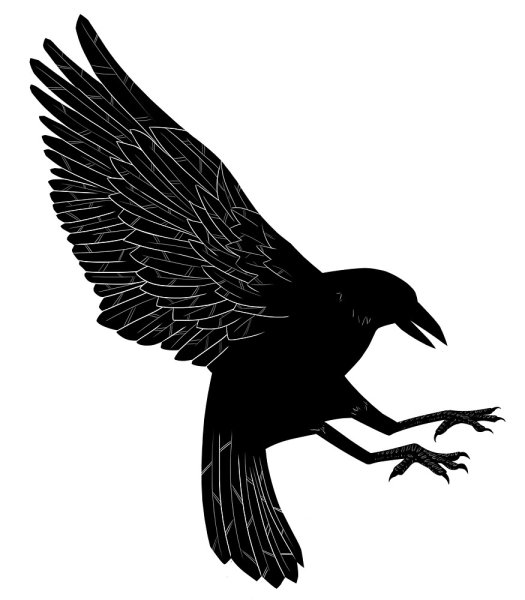 Ворона вектор