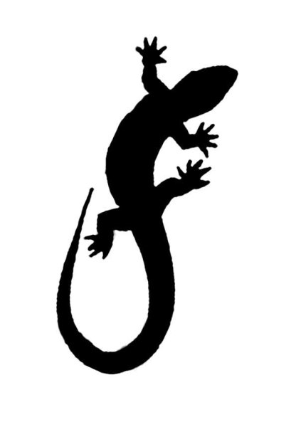 Ящерица логотип