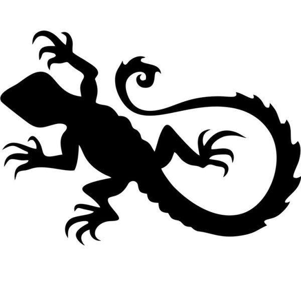 Саламандра трафарет