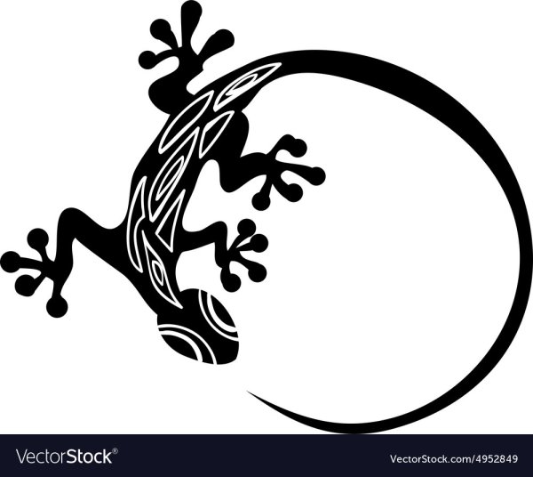 Саламандра в круге