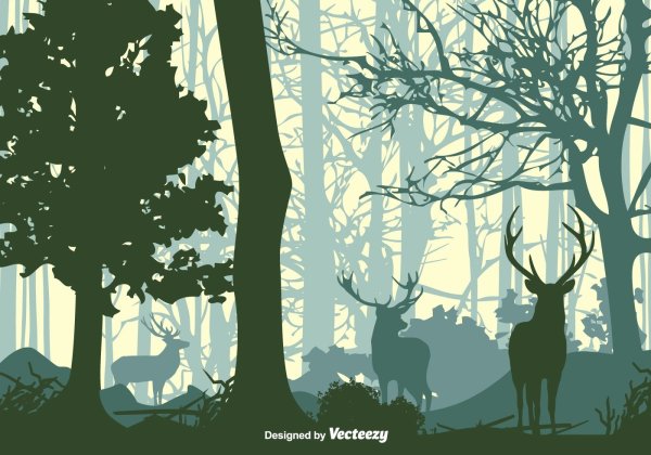 Графический лес