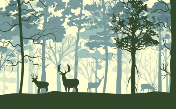 Пейзаж с силуэтом дерева