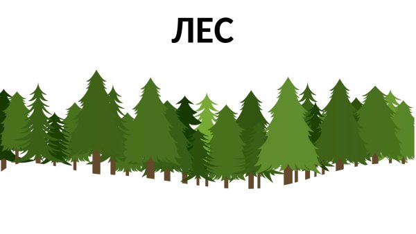 Лес на прозрачном фоне