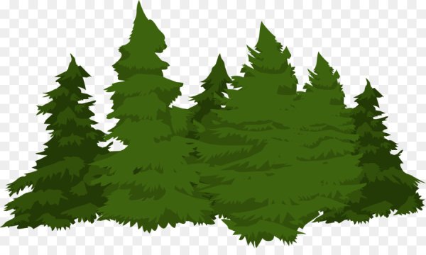 Лес на прозрачном фоне
