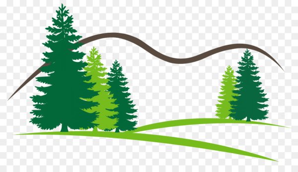 Векторное изображение леса