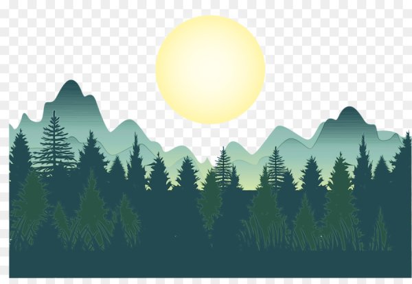 Очертания леса