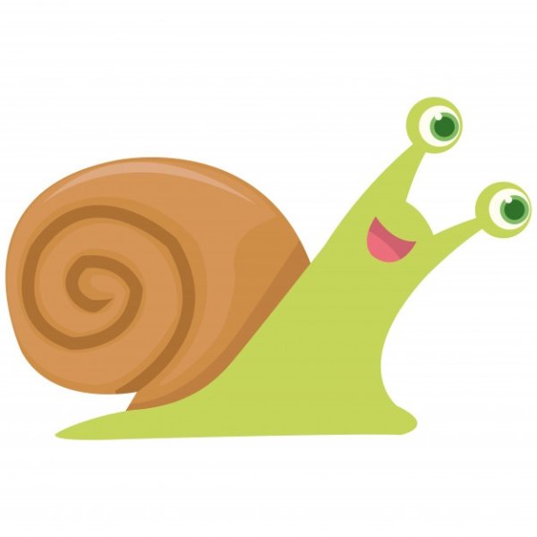 Векторные изображения улитка