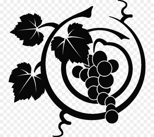 Лоза Виноградная листья вектор