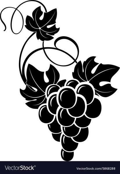 Лоза винограда вектор