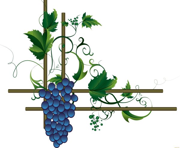 Лист винограда Мерло