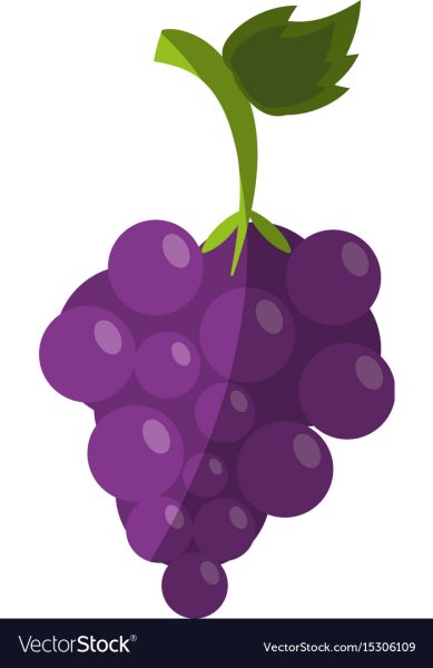 Виноград в векторном графическом редакторе