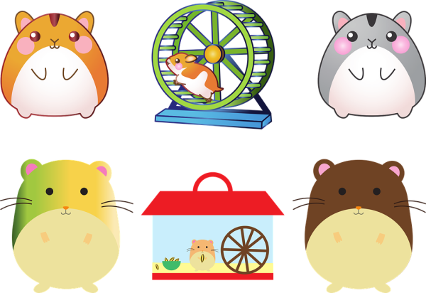 Хомяк рисунок