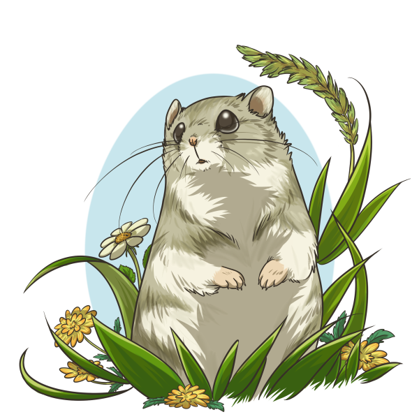 Хомячок мультяшный