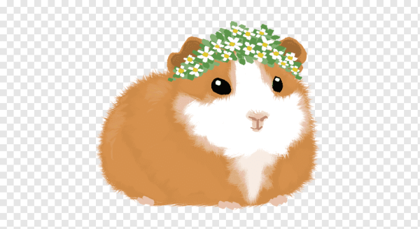 Хомячок мультяшный
