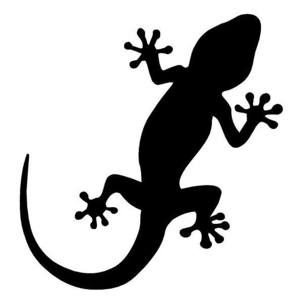 Ящерица силуэт