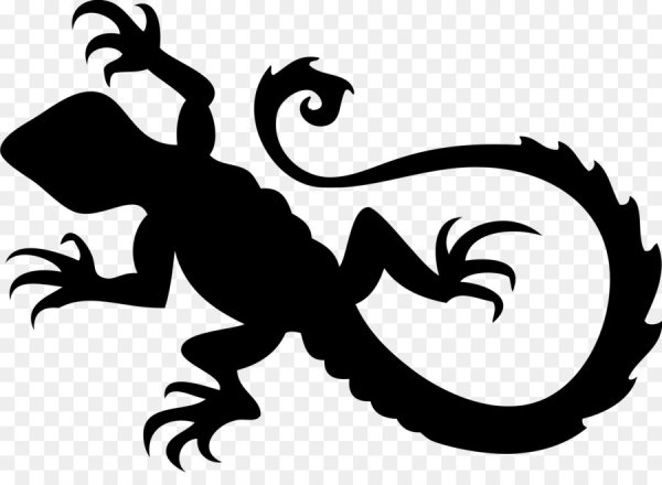 Наклейка саламандра