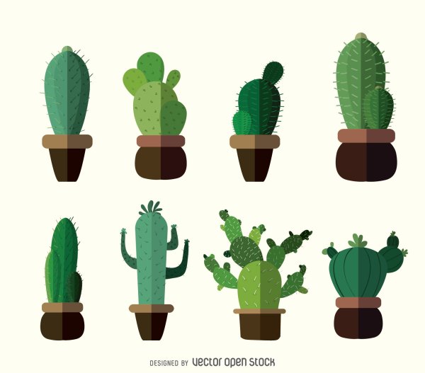 Флэт Кактус Минимализм