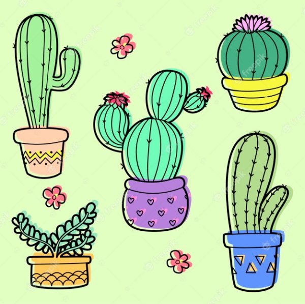 Кактус вектор вектор